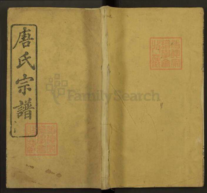 安徽省宣城市唐氏族谱-唐氏宗谱.pdf电子版缩略图