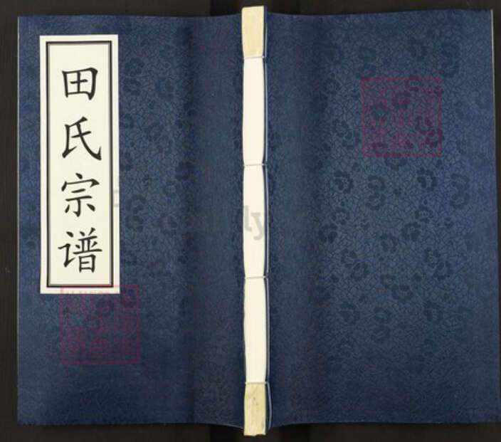 青海省西宁市青海省西宁市田氏守正堂族谱-田氏宗谱.pdf电子版缩略图