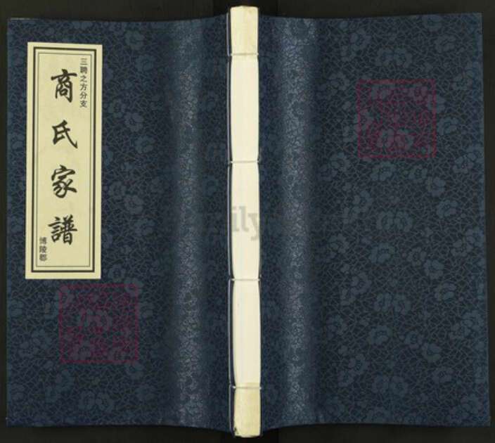 山东省聊城市茌平区菜屯镇山东省聊城市商氏追远堂族谱-商氏家谱.三聘之方分支.pdf电子版缩略图