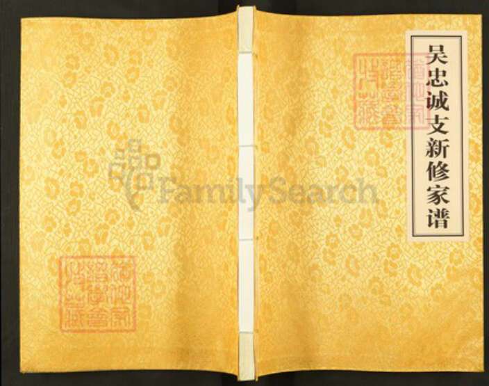 河南省信阳市河南省信阳市息县东岳镇吴；吴氏族谱-吴忠诚支新修家谱.pdf电子版缩略图