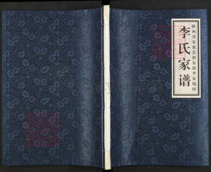 陕西省延安市陕西省延安市安塞区李氏族谱-李氏家谱.pdf电子版缩略图