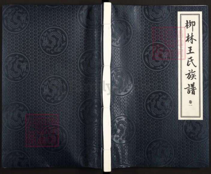 山东省潍坊市诸城市皇华镇王氏益友堂族谱-诸城柳林王氏族谱.pdf电子版缩略图