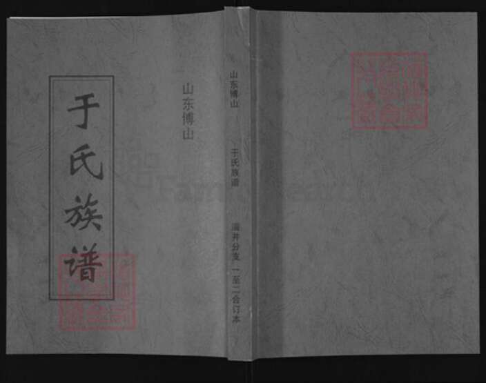 山东省淄博市博山区山东省淄博市博山区于氏族谱-于氏族谱.pdf电子版缩略图