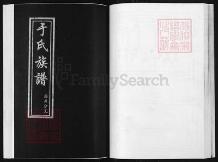 山东省淄博市博山区山东省淄博市博山区于氏族谱-于氏族谱.淄井分支.pdf电子版缩略图