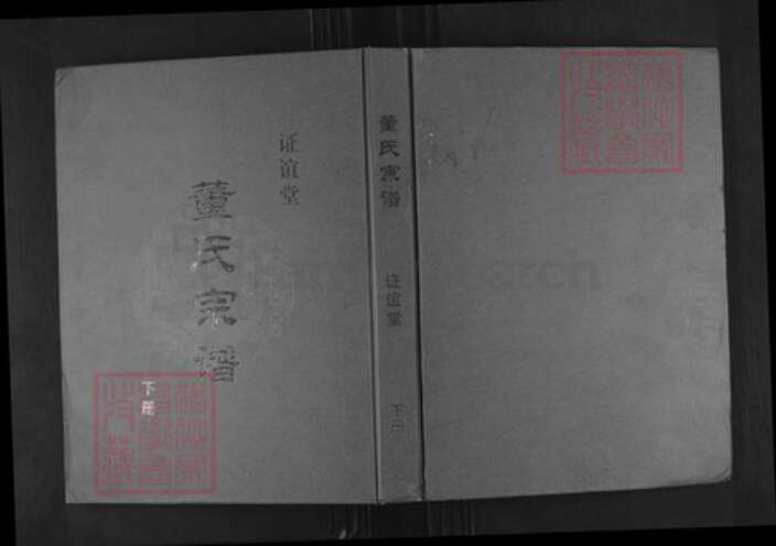 江苏省盐城市建湖县董氏证谊堂族谱-董氏宗谱.pdf电子版缩略图