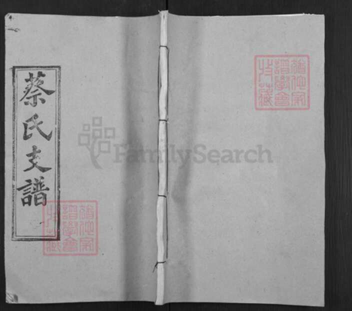 湖北省武汉市新洲区蔡氏九峰堂族谱-冈邑蔡氏支谱.pdf电子版缩略图