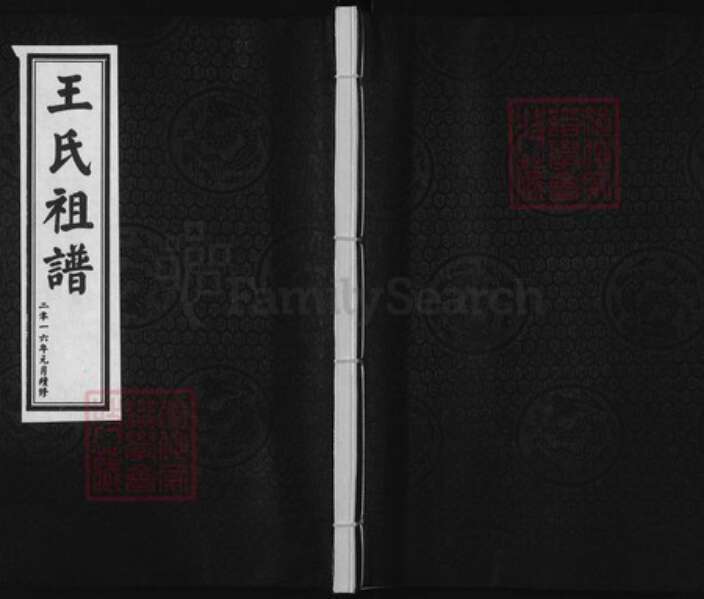 河北省沧州青县金牛镇王氏族谱-王氏祖谱.pdf电子版缩略图