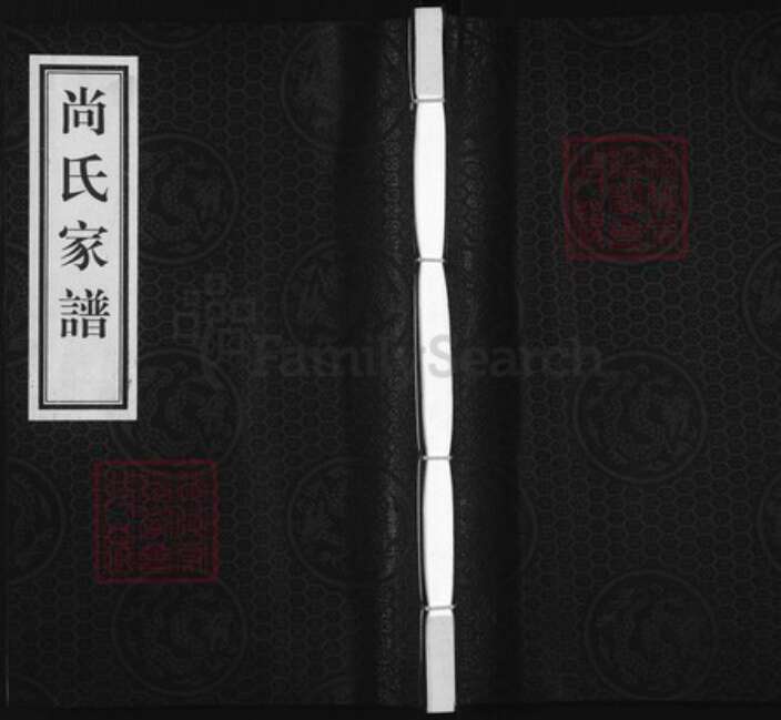 河北省沧州黄骅市官庄乡尚氏族谱-尚氏家谱.pdf电子版缩略图