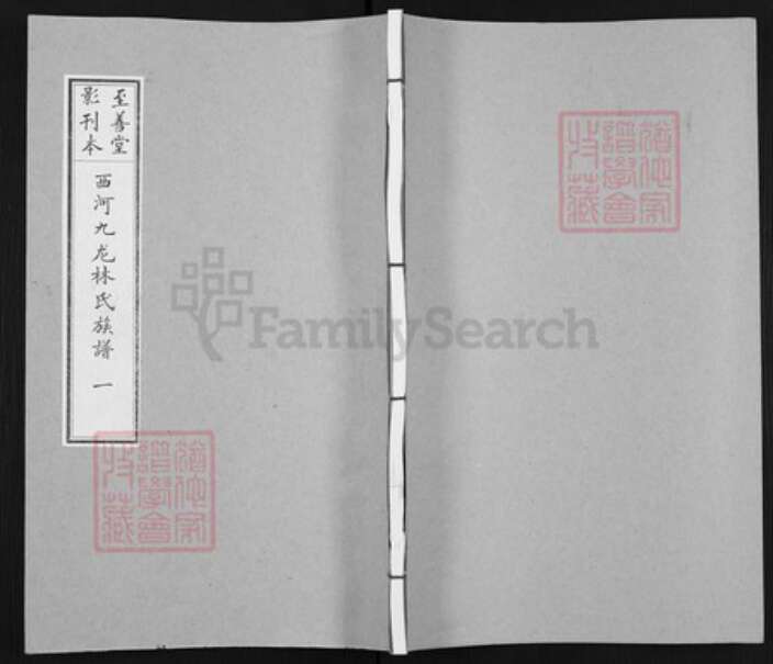 福建省莆田市荔城区林氏至善堂族谱-西河九龙林氏族谱.pdf电子版缩略图