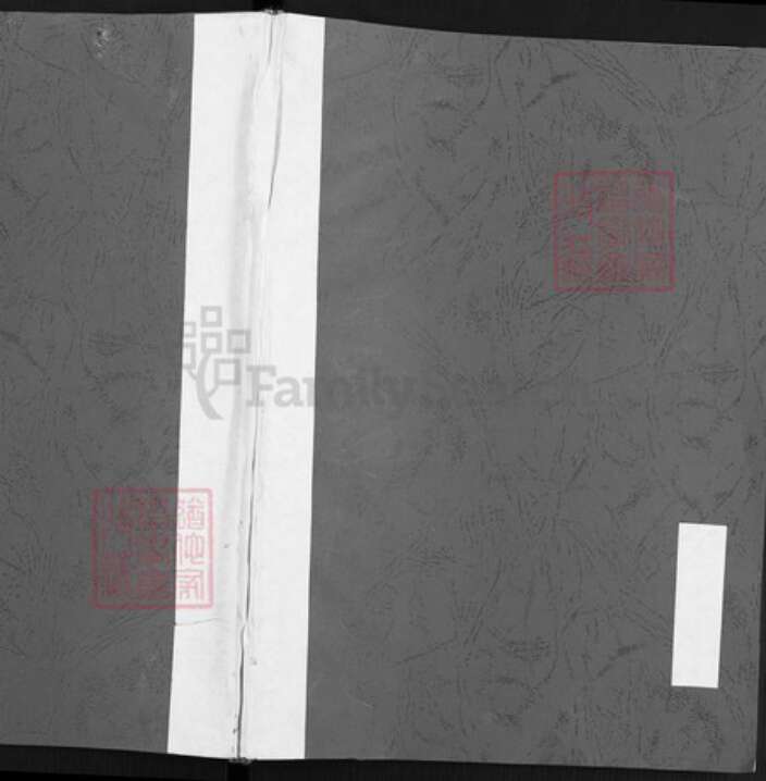 山西省阳泉市平定县冶西镇赵氏族谱-赵家村赵氏阳眷股家谱.pdf电子版缩略图