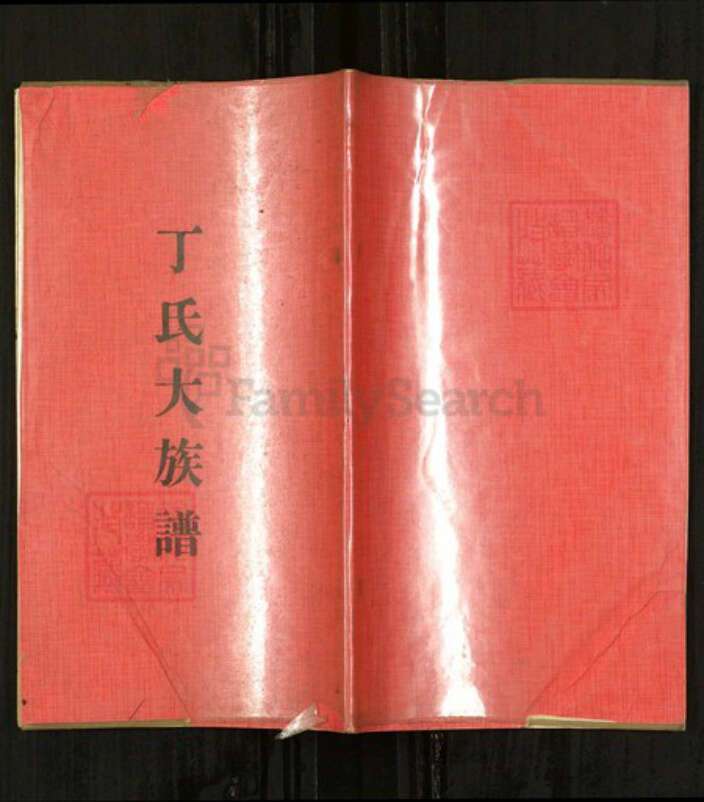 山东省日照市东港区山东省日照市丁氏族谱-丁氏大族谱.pdf电子版缩略图