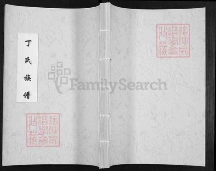 山东省济宁市梁山县丁氏族谱-丁氏族谱.pdf电子版缩略图