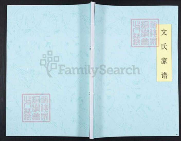 重庆市巴南区文氏族谱-文氏家谱.pdf电子版缩略图