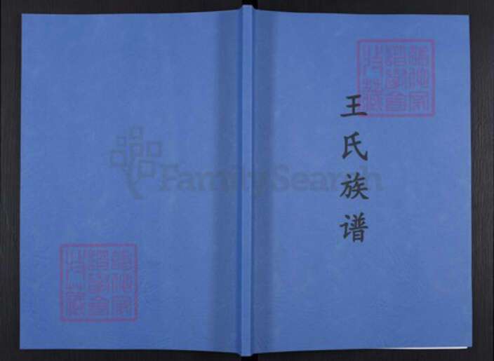 重庆市渝北区王氏袭槐堂族谱-王氏族谱.pdf电子版缩略图