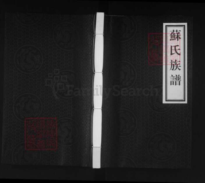 河北省沧州泊头市泊镇镇苏氏族谱-苏氏族谱.pdf电子版缩略图