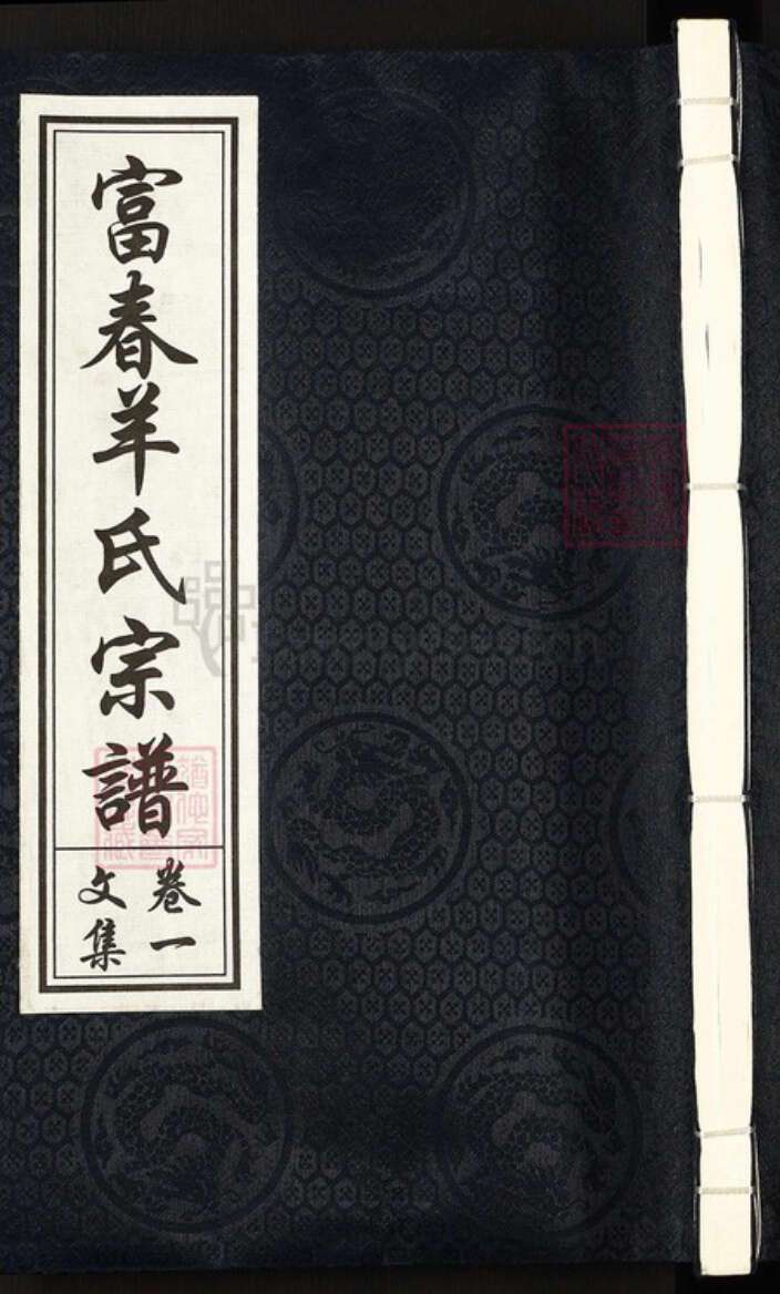 浙江省杭州市富阳大源镇镇羊氏积善堂族谱-富春羊氏宗谱.pdf电子版缩略图