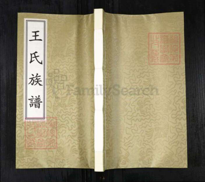 江西省九江市德安县王氏三槐堂族谱-王氏族谱.pdf电子版缩略图