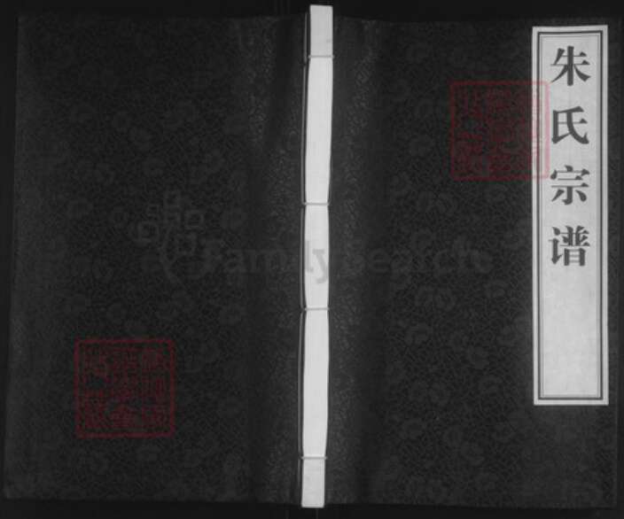 江苏省淮安市金湖县塔集镇朱氏白鹿堂族谱-朱氏宗谱.pdf电子版缩略图