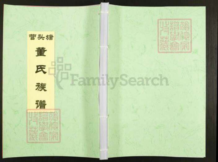 山东省东营市广饶县董氏族谱-塘头营董氏族谱.pdf电子版缩略图