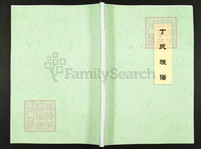 山东省日照市丁氏族谱-丁氏族谱.pdf电子版缩略图