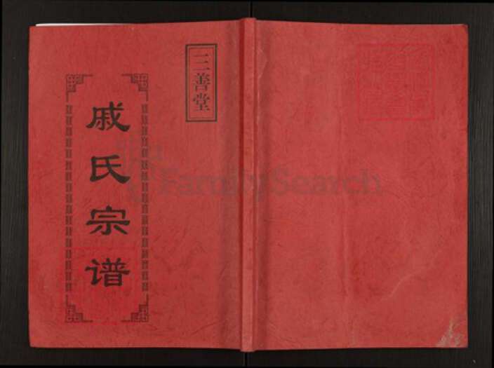 江苏省盐城市阜宁县板湖镇戚氏三善堂族谱-戚氏宗谱.pdf电子版缩略图