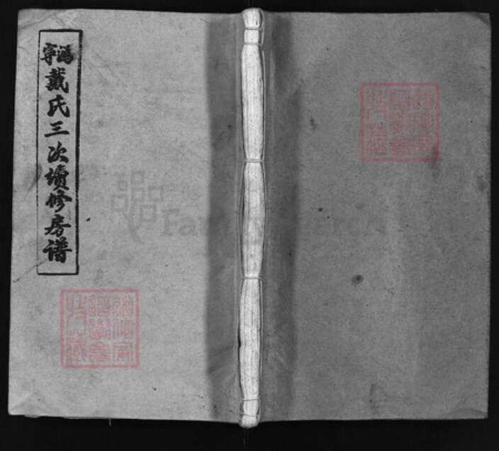 湖北省黄冈市红安县戴氏族谱-沩宁戴氏三修房谱 [1卷].pdf电子版缩略图