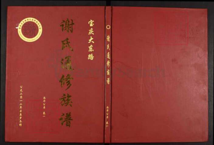 湖南省衡阳市耒阳市新市镇谢氏宝树堂族谱-宝庆大东路谢氏通修族谱.pdf电子版缩略图