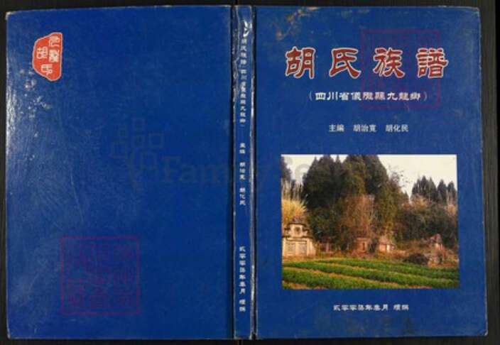 四川省南充市仪陇县四川省南充市仪陇县胡氏族谱-胡氏族谱.pdf电子版缩略图