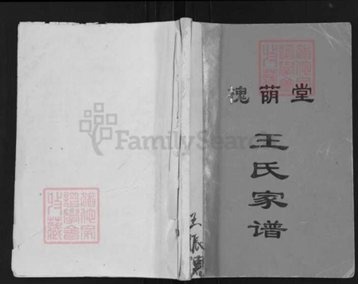 江苏省扬州市高邮市界首镇王氏槐荫堂族谱-王氏家谱.pdf电子版缩略图