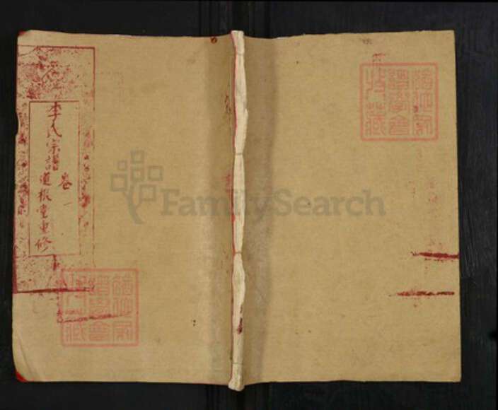 湖北省黄冈市武穴市李氏道根堂族谱-李氏宗谱.pdf电子版缩略图