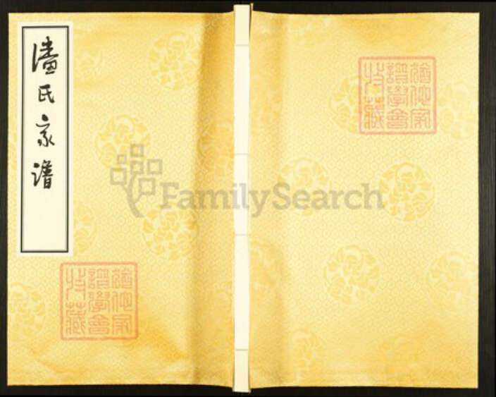 江苏省盐城市亭湖区新兴镇潘氏文曲堂族谱-潘氏宗谱.盐城新兴支系谱.pdf电子版缩略图