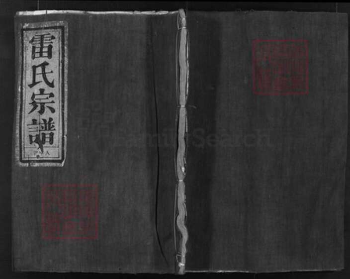 浙江省雷氏族谱-雷氏宗谱 [3卷].pdf电子版缩略图