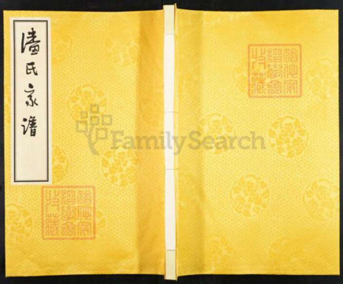 江苏省盐城市亭湖区新兴镇潘氏文曲堂族谱-潘氏宗谱.盐城新兴支系谱.pdf电子版缩略图