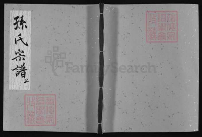 安徽省黄山市休宁县孙氏族谱-孙氏宗谱 [上下册].pdf电子版缩略图