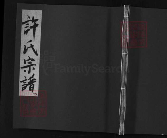 安徽省黄山市歙县许氏族谱-许氏宗谱 [残卷不分卷].pdf电子版缩略图