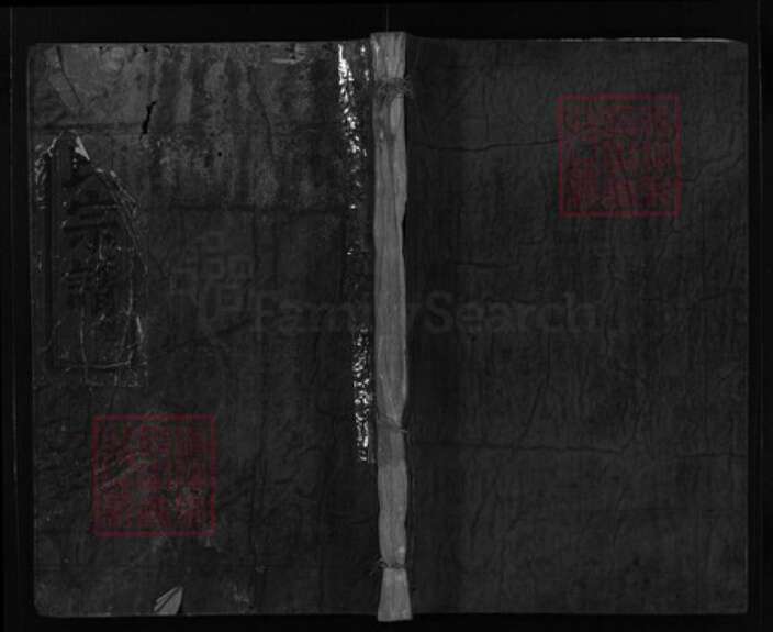 浙江省温州市平阳县廖氏族谱-廖氏宗谱 [残卷].pdf电子版缩略图