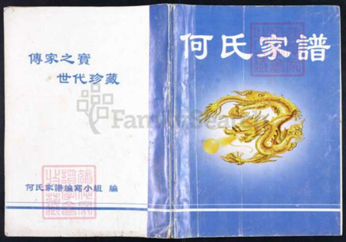 四川省南充市营山县回龙镇何氏族谱-何氏家谱.pdf电子版缩略图