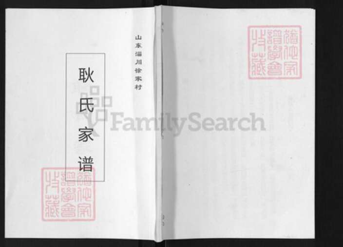 山东省淄博市淄川区耿氏族谱-耿氏家谱.pdf电子版缩略图