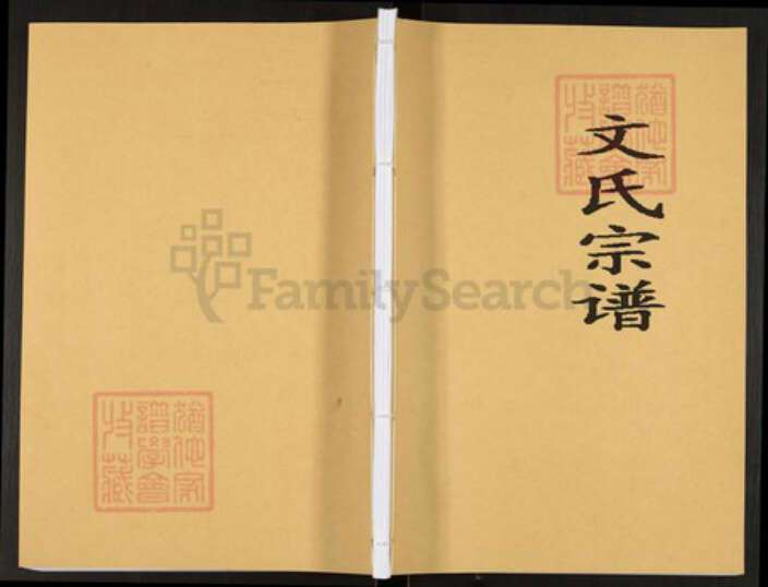 贵州省遵义市赤水市葫市镇文氏雁门堂族谱-文氏宗谱.pdf电子版缩略图