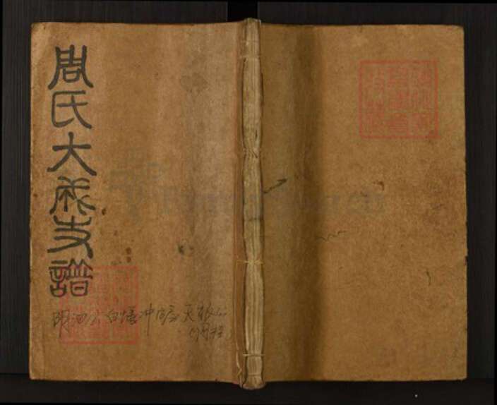 湖南省岳阳市临湘市临湘周氏族谱-周氏大成支谱.pdf电子版缩略图