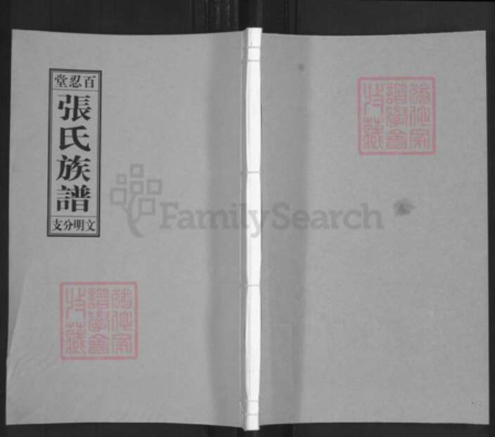 江苏省扬州市邗江区杨庙镇张氏百忍堂族谱-张氏族谱.文明分支.pdf电子版缩略图