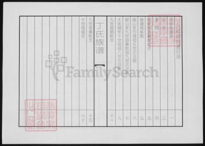 山东省聊城市东阿县山东省泰安市丁氏族谱-丁氏续修族谱.pdf电子版缩略图