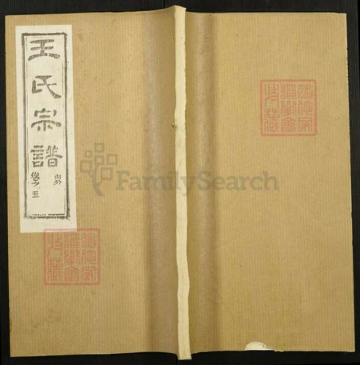 江西省宜春市王氏族谱-王氏宗谱.pdf电子版缩略图