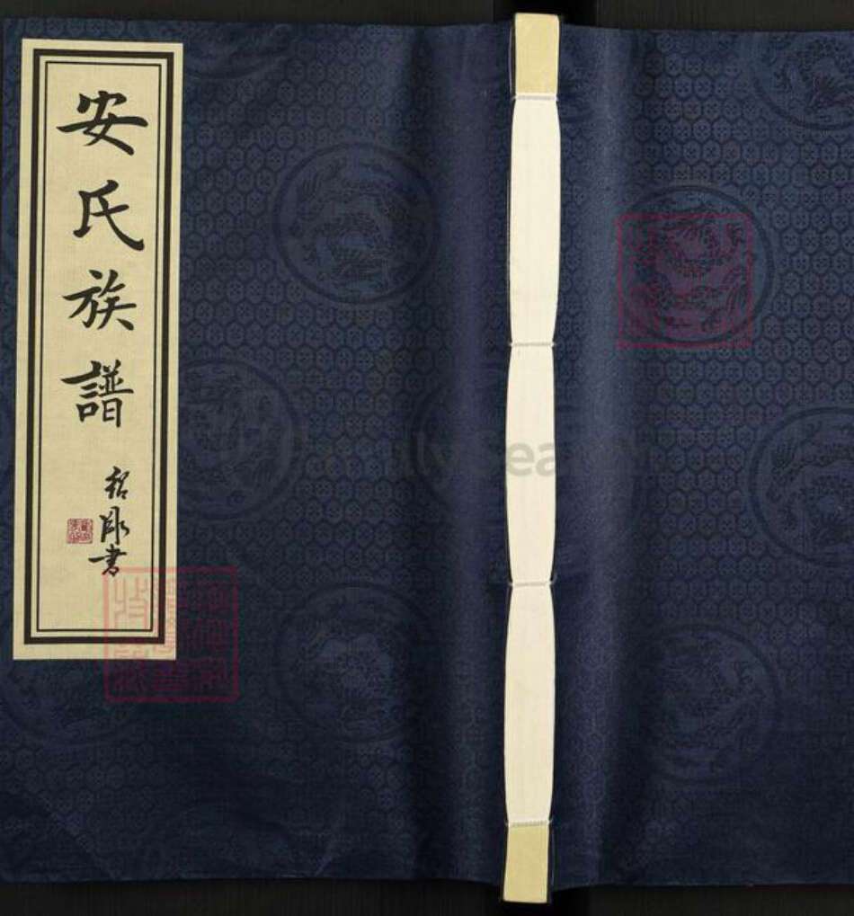 天津市武清区陈咀镇安氏族谱-安氏族谱.pdf电子版缩略图