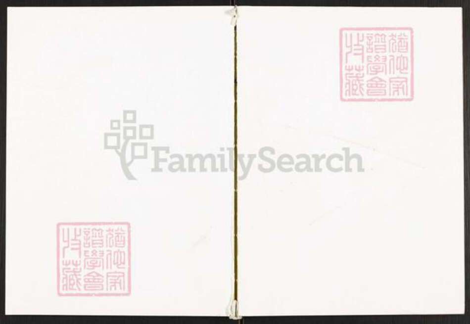 四川省巴中市平昌县望京镇白氏治生堂族谱-白氏家谱.pdf电子版缩略图