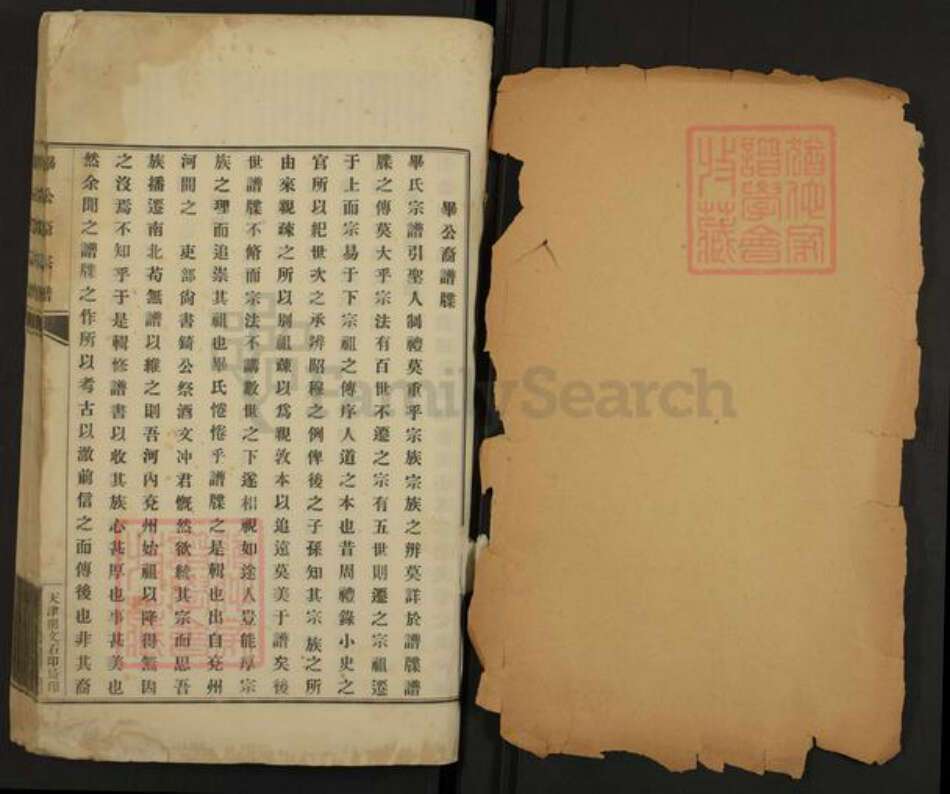 河南省洛阳市偃师市毕氏族谱-毕公裔宗谱.pdf电子版缩略图