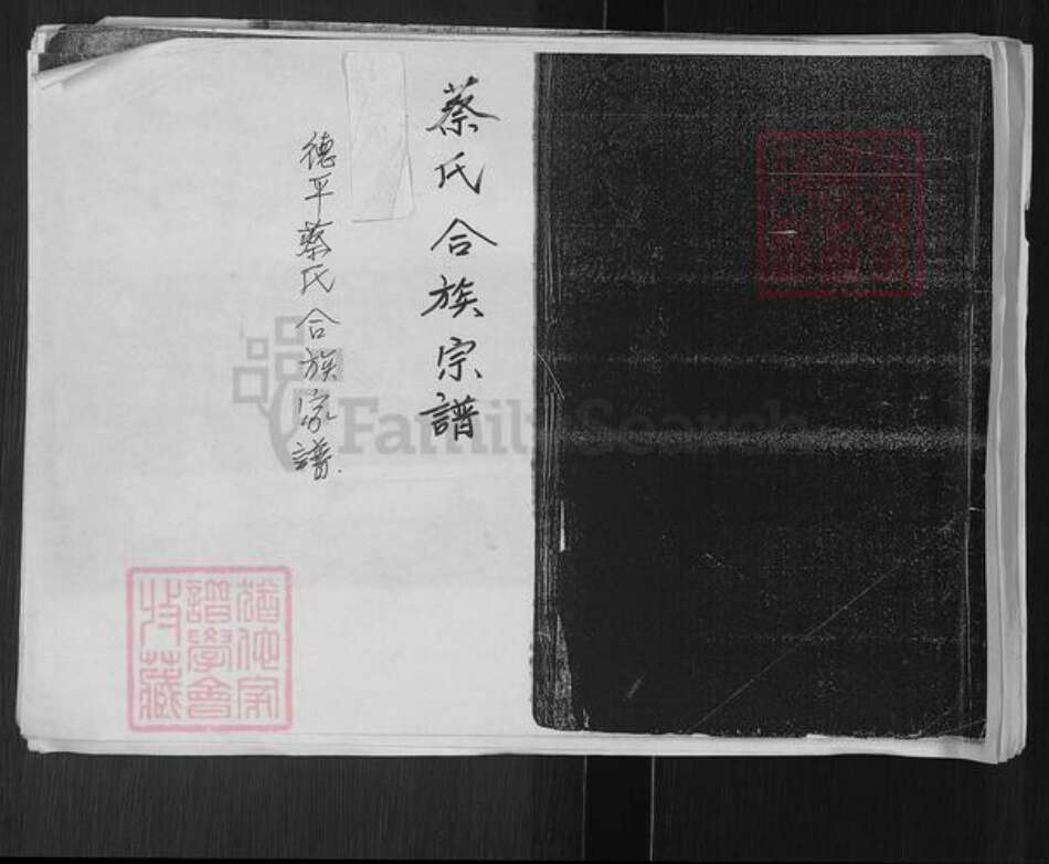 山东省德州市临邑县德平镇蔡氏族谱-德平蔡氏合族家谱.pdf电子版缩略图