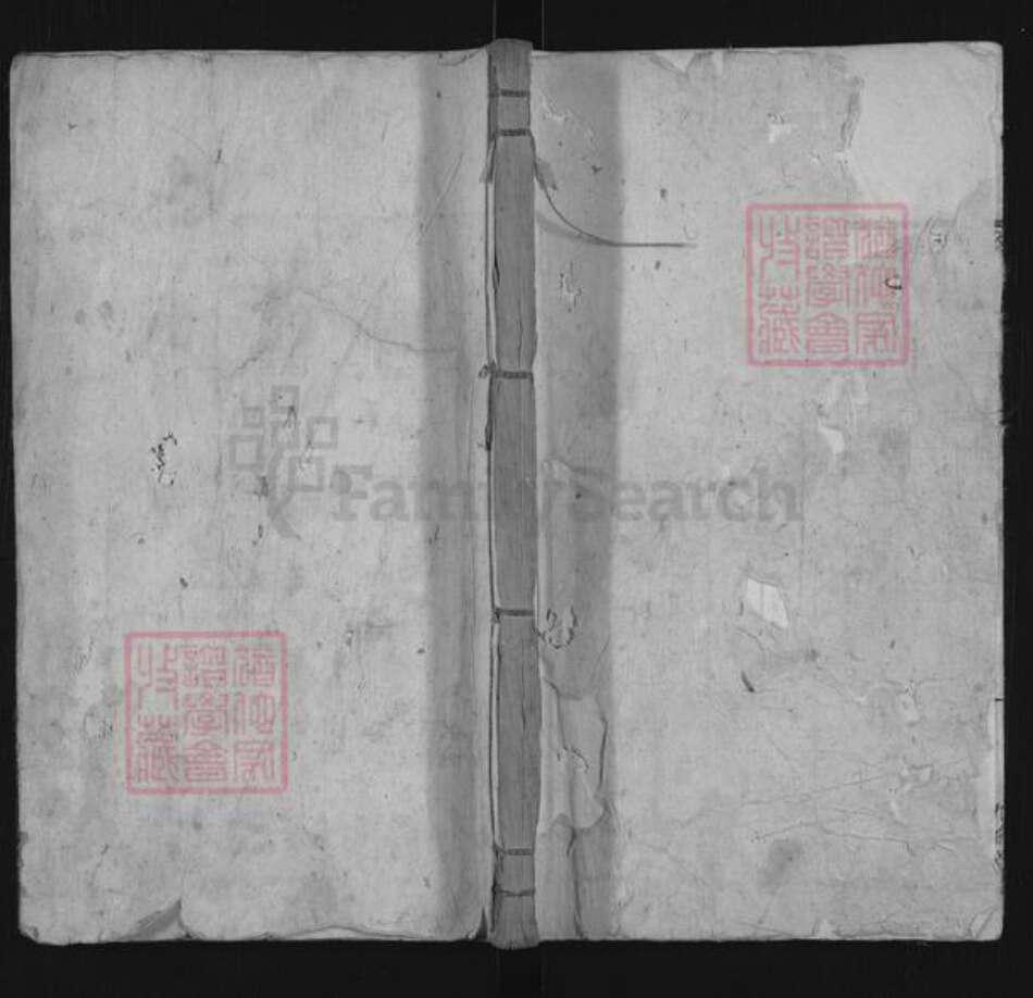 江苏省苏州市吴江区桃源镇蔡氏九峰堂族谱-蔡氏宗谱.pdf电子版缩略图