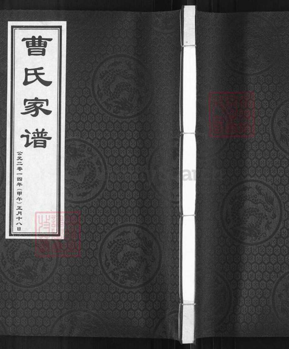 河北省沧州沧县杜生镇曹氏族谱-曹氏家谱.pdf电子版缩略图