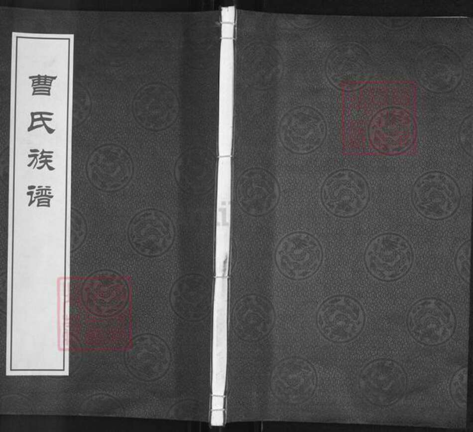 河北省沧州河间市故仙乡曹氏忠义堂族谱-曹氏族谱.pdf电子版缩略图